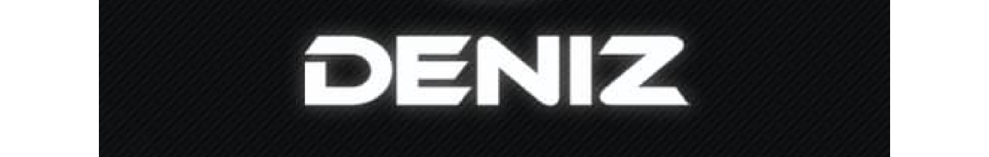 استخدام دنیز اللهیاری