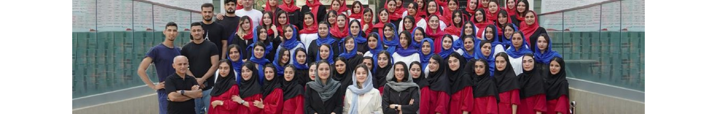 استخدام مجموعه آی بولک