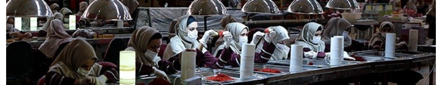 نوین زعفران (زیرمجموعه گروه صنعتی گلرنگ)