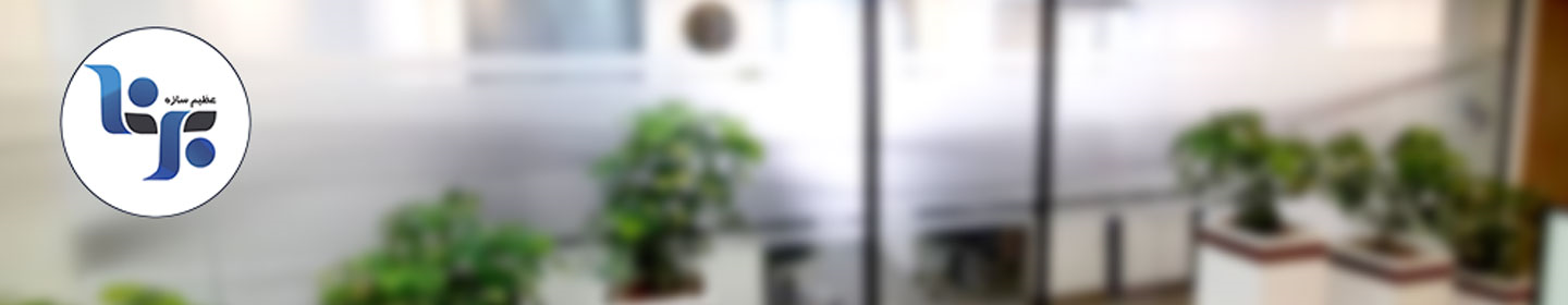 عظیم سازه برنا