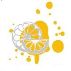 پرنگ  نوین گیتی