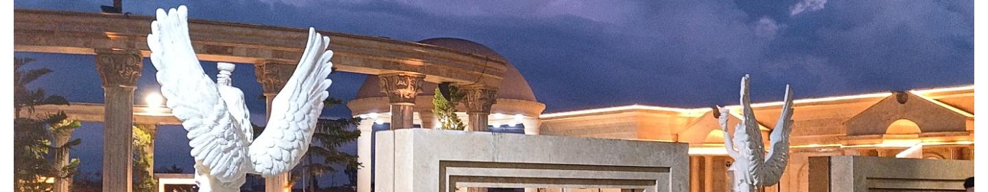 رستوران بین‌المللی نارون