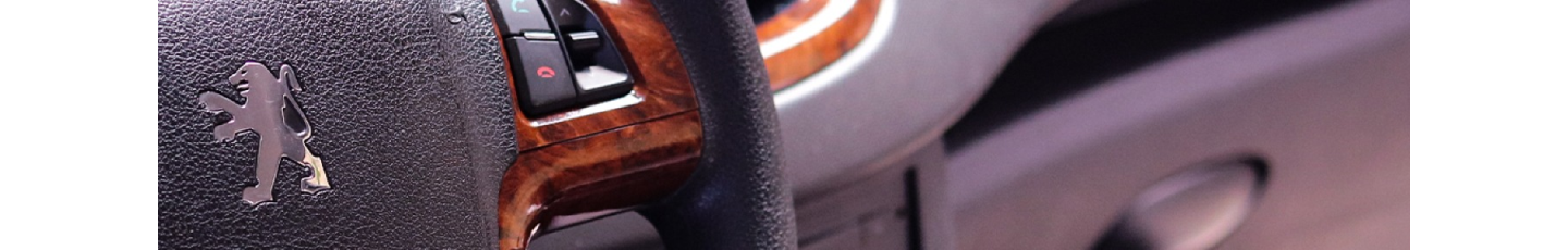 استخدام میرکا خودرو