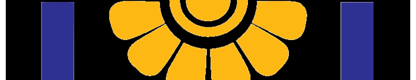 بیمه پاسارگاد کد 49016