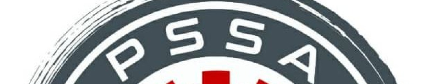 پیچ سازان صنعت آریا