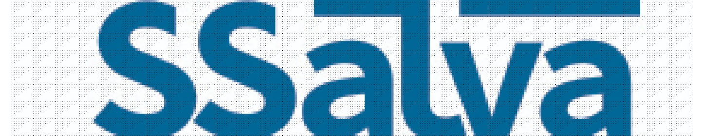 دهکده گردشگری سلوا