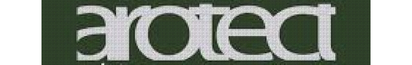 استخدام آرو فن زیگورات