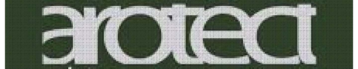 آرو فن زیگورات