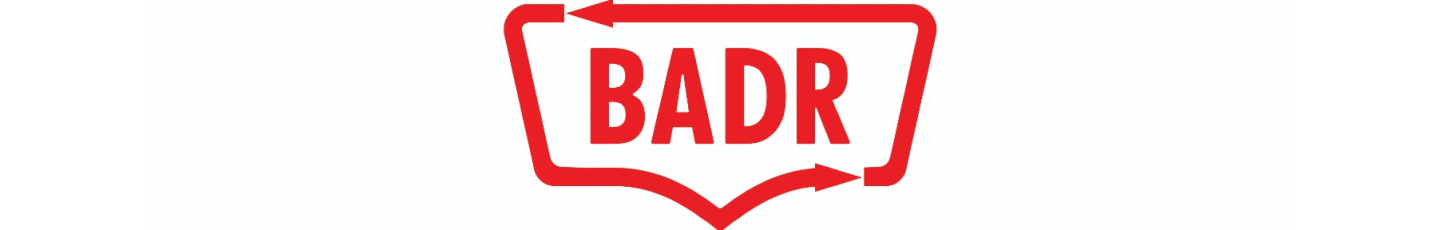 استخدام پیشرو فرآیند بدر