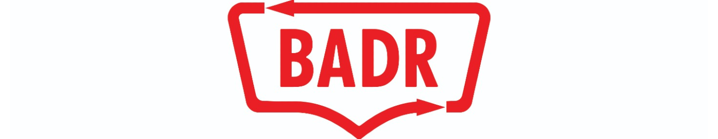 پیشرو فرآیند بدر