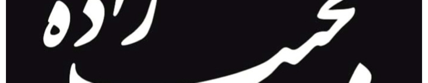 فروشگاه زنجیره‌ای نجیب‌زاده