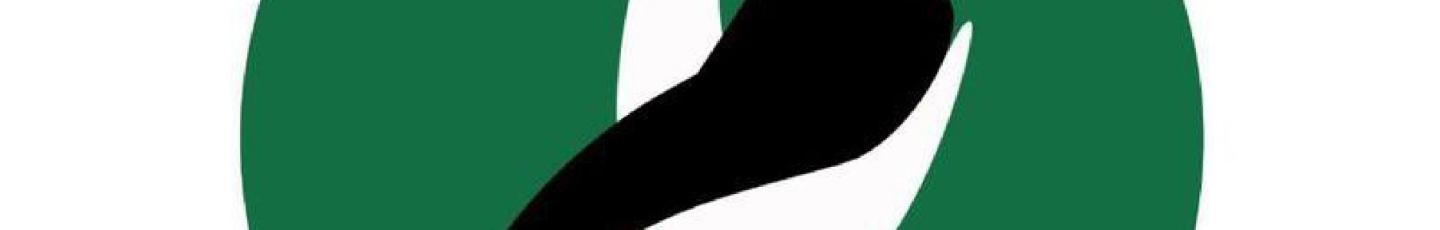 استخدام پایگاه رسانه ای بامداد نو