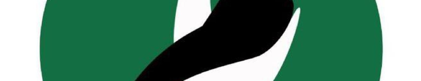 پایگاه رسانه ای بامداد نو