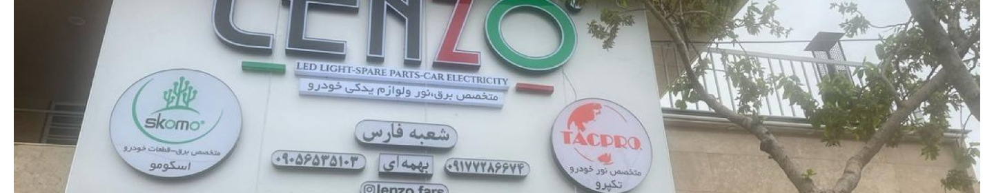 گروه بازرگانی لنزو