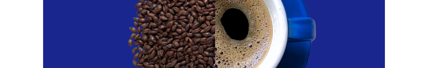 استخدام کاپاجو