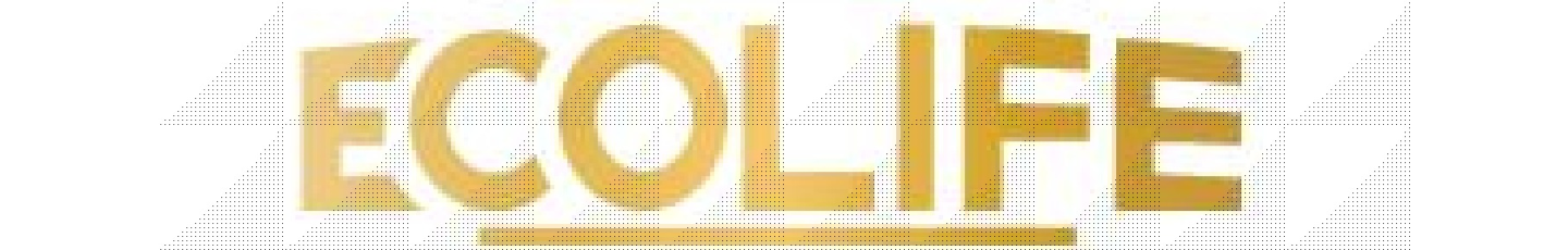 استخدام پل توس ایرانیان
