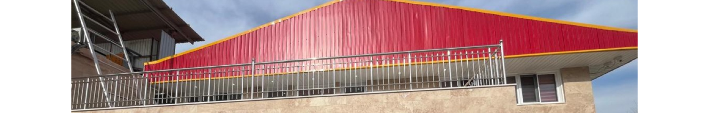 استخدام شرکت پسرخاله نقش جهان