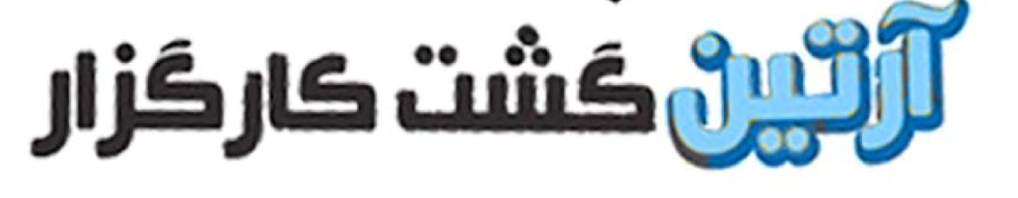 آرتین گشت کارگذار