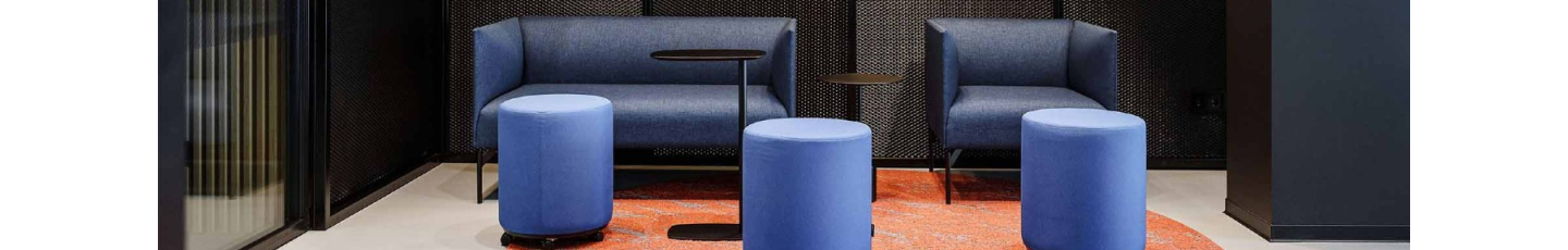 استخدام دنیته