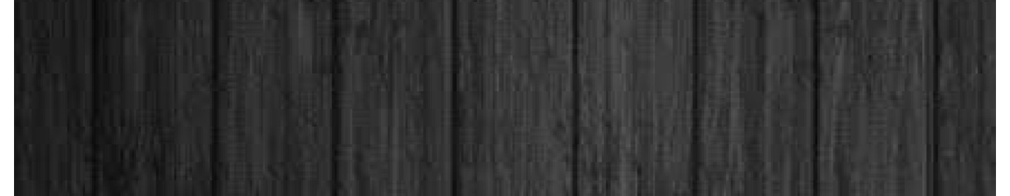 پیشتازان پخش تبیان