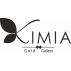 کیمیا گالری