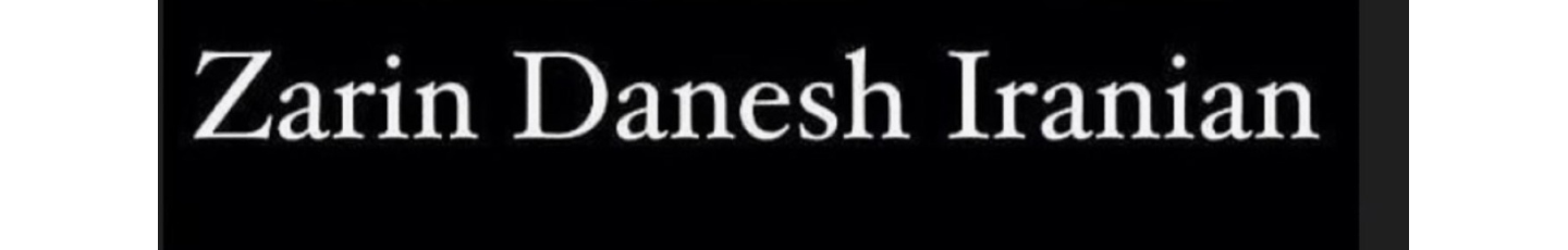 استخدام شرکت هلدینگ زرین دانش ایرانیان