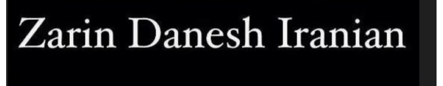 شرکت هلدینگ زرین دانش ایرانیان