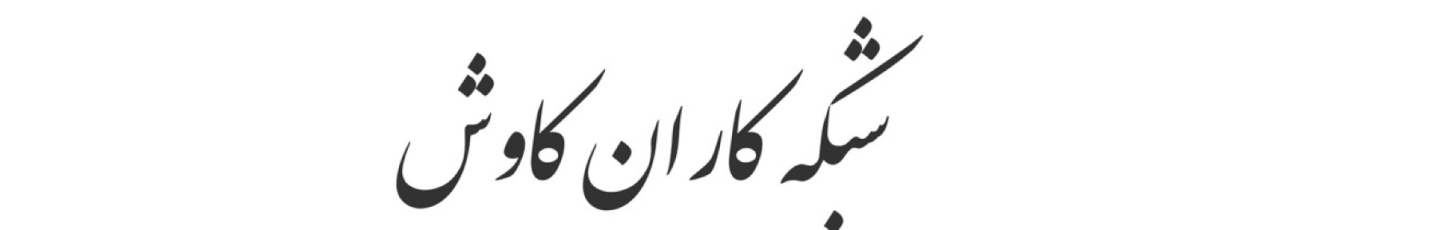 استخدام شبکه کاران کاوش