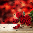 استخدام بونو