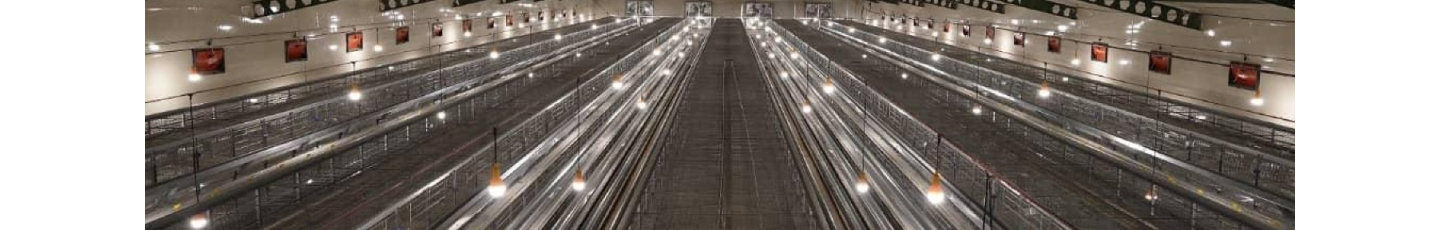 استخدام تجهیز ماکیان