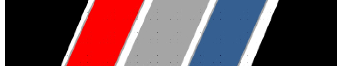 پترو صنعت راین