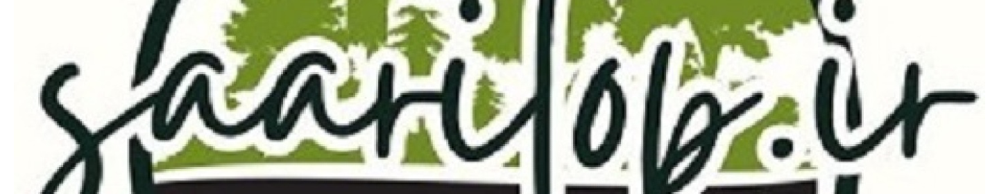 شرکت دیجیتال مارکتینگ ساری تاپ