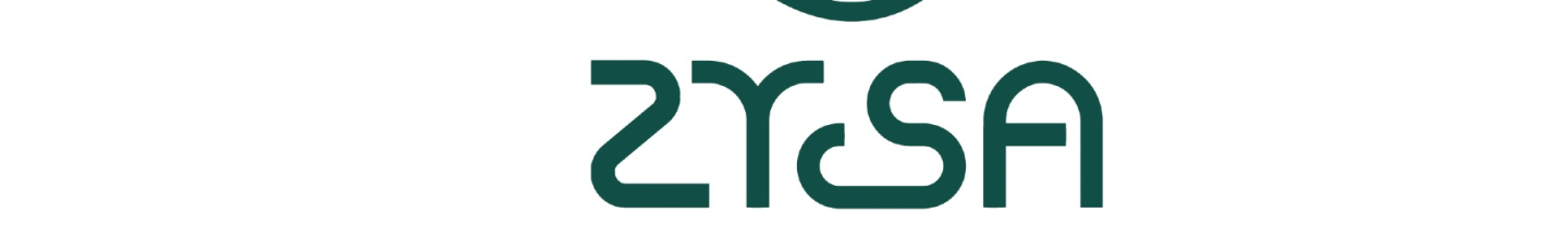 استخدام زی سا