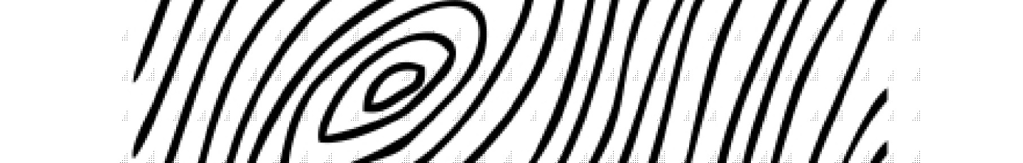 استخدام فربین چوب اصیل