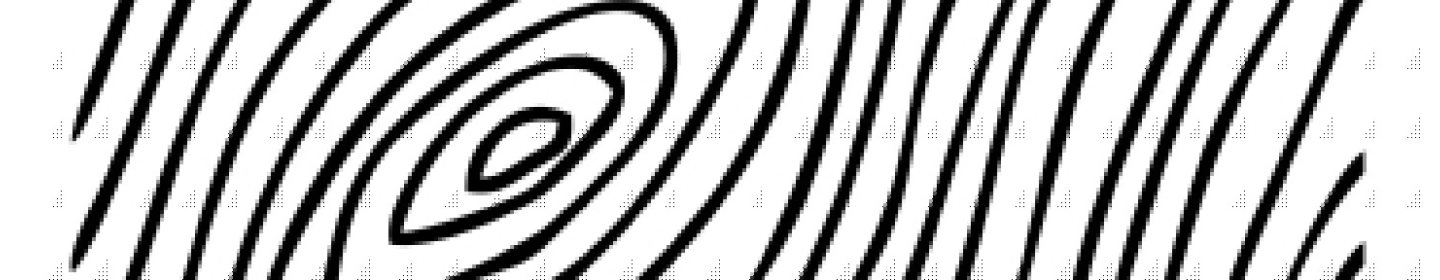 فربین چوب اصیل