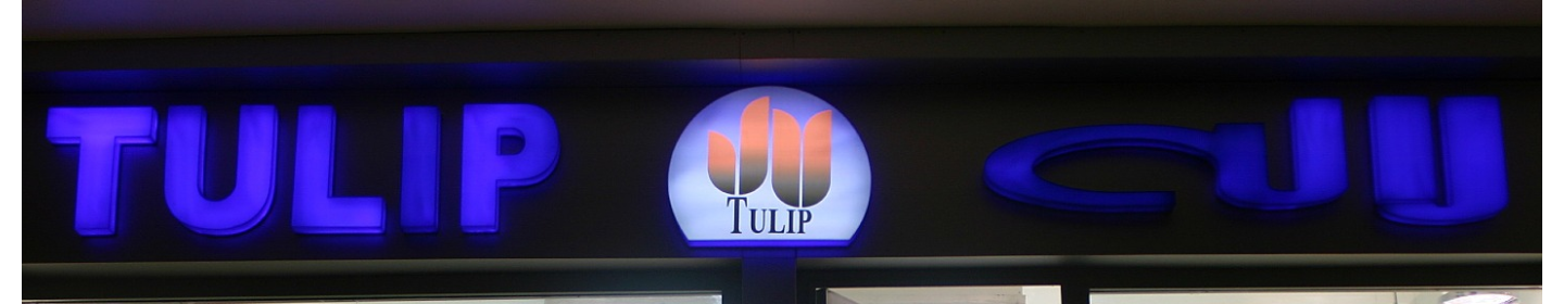 گلفروشی تولیپ