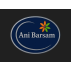 شرکت آنی برسام