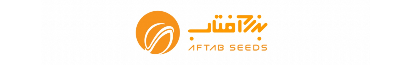 استخدام بذر آفتاب خاورمیانه