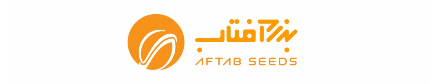 بذر آفتاب خاورمیانه