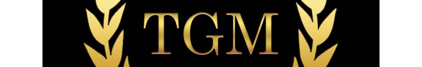 استخدام شرکت تجارت گستران موفق