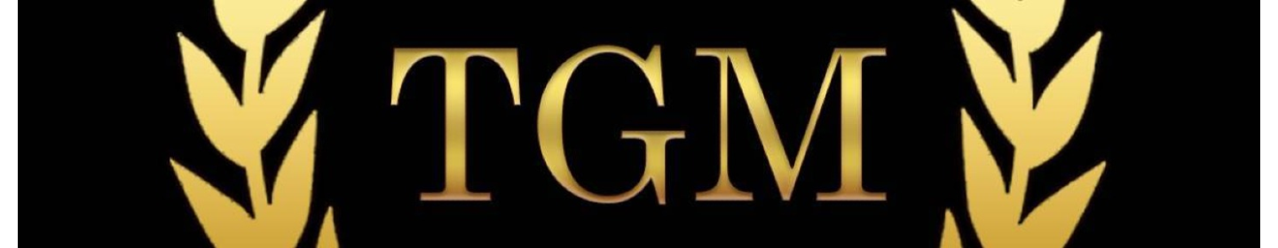 شرکت تجارت گستران موفق