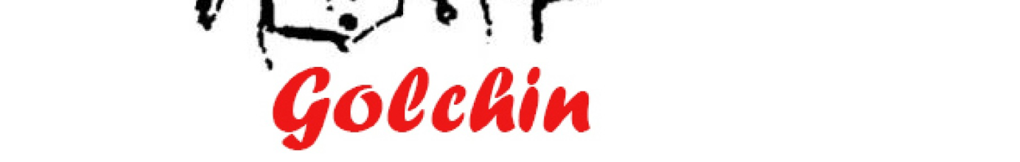 استخدام ایمن تجهیز گلچین