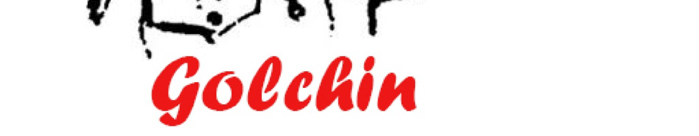 ایمن تجهیز گلچین