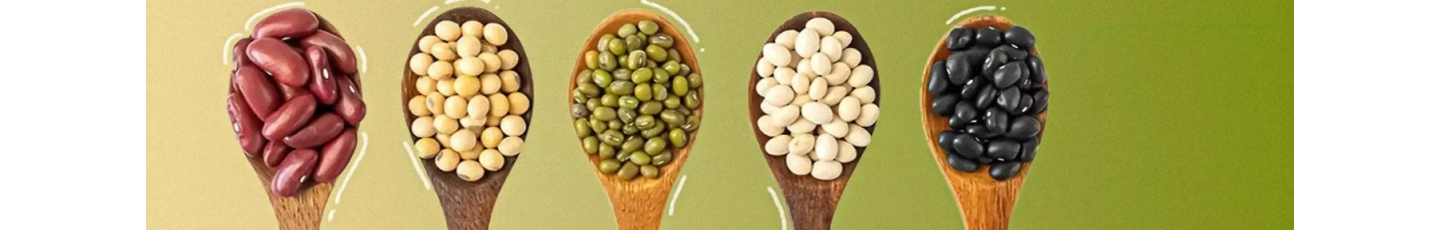 استخدام بردیا جهان پویا