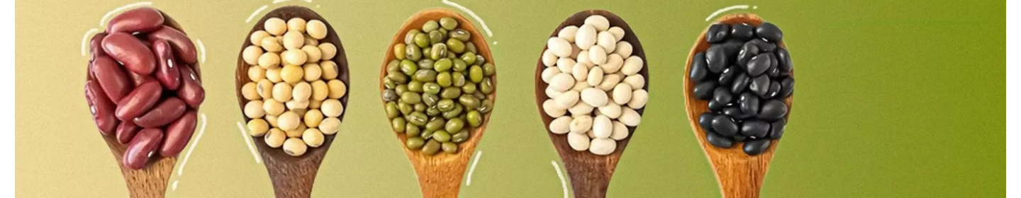 بردیا جهان پویا