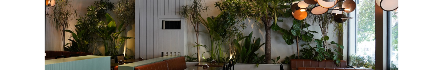 استخدام جو فود