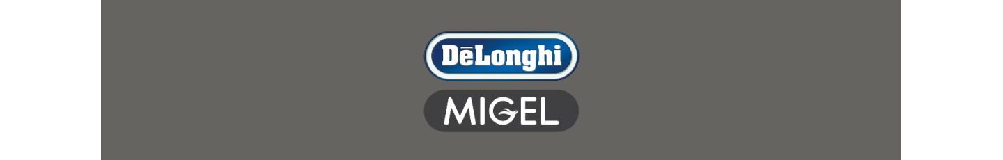 استخدام شرکت دلونگی و میگل