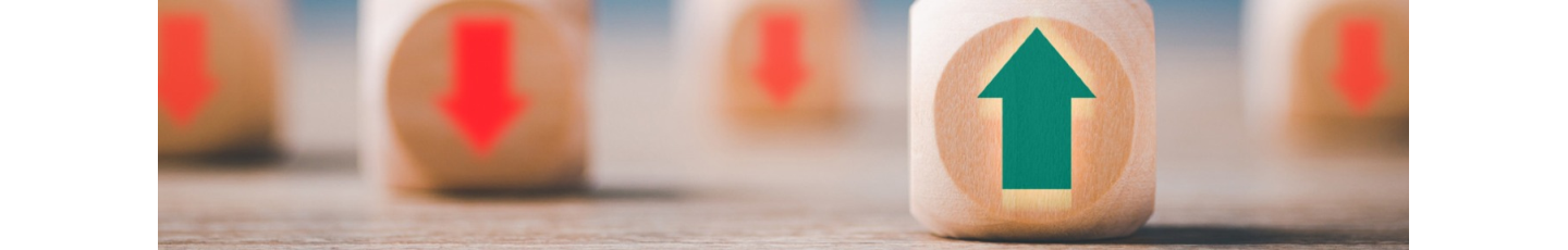 استخدام موسسه توسعه کسب و کار رویش کوثر