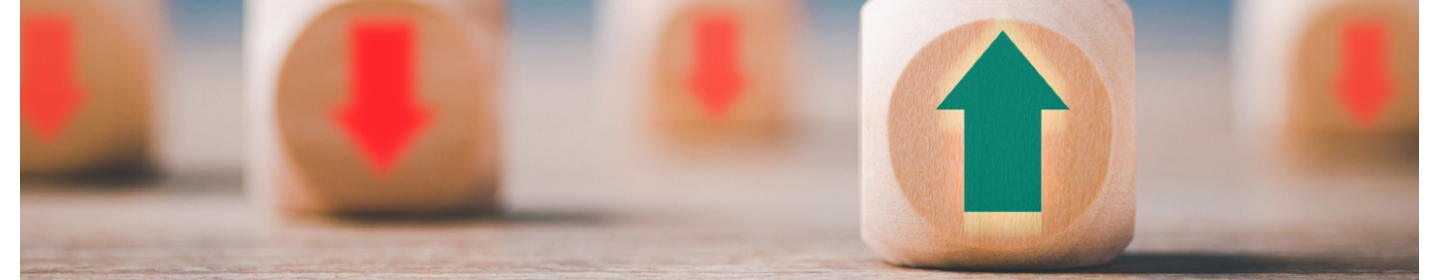 موسسه توسعه کسب و کار رویش کوثر