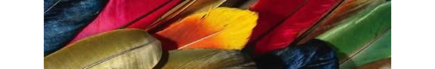 استخدام سعادت نساجان یزد